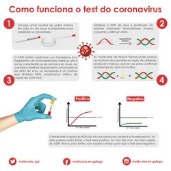 Infografía que explica como funciona o test do coronavirus / Moléculas en galego (@moleculas_gal en Twitter).