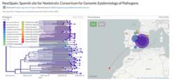 Un dos mapas xenéticos do coronavirus COVID-19  / nextstrain