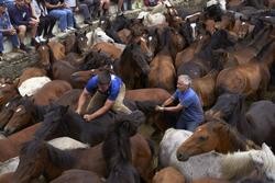July 9, 2019 - Sabucedo, Galicia, Spain: "Aloitadores" immobilize wild horses with their hands and bodies to cut their manes and deworm them. Since 1567, the first weekend of July is marked by Rapa dás Bestas every year. The tradition begins at the townÕs. Tomas Cale - Arquivo / Europa Press