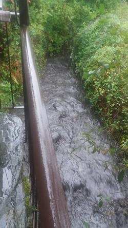 Río de chapapote. Así está o río Arnoia ao sue paso pola Ermida, en Vilar de Barrio / remitida