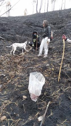 Integrantes de Amigas das Árbores avaliando un monte queimado/amigas das árbores