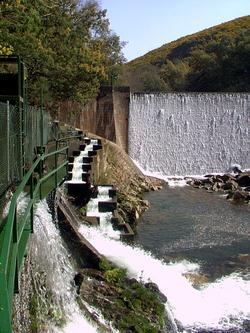 Presa de Naturgy no río Verdugo / remitida