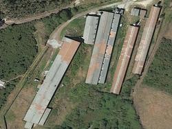 Vista aérea da macro explotación ilegal de porcos en Lousame que a xunta pretende legalizar / Ecoloxistas en Acción