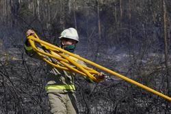 Bombeiro loitando contra un lume forestal. Álvaro Ballesteros - Europa Press