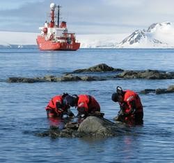 Arquivo - O buque de investigación oceanográfica Hespérides cumpre 30 anos. ARMADA - Arquivo / Europa Press