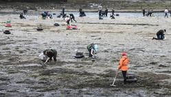 Arquivo - Marisqueo en esteiro. USC - Arquivo / Europa Press