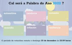 Candidatas a ser a Palabra do Ano 2022 - cedida