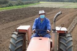 Arquivo - Manuel Rodríguez ara as súas leiras co tractor e máscara para plantar patacas en Lugo. Carlos Castro - Europa Press - Arquivo / Europa Press