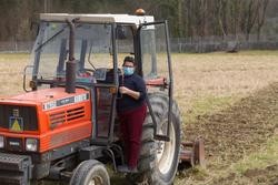 Unha muller, Lola Martínez ara no seu tractor para plantar patacas na súa leira de Chamoso, O Corgo / Europa Press - Arquivo