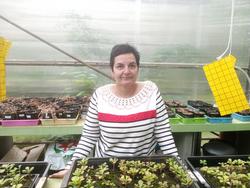 Montserrat Díaz, investigadora do CSIC / remitida