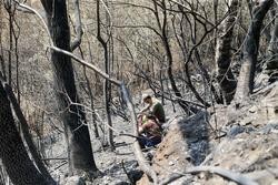 Voluntarios observan exhaustos os danos causados na Serra de Caurel tras o incendio.. Carlos Castro - Europa Press