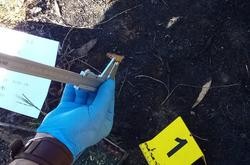 Cabicha atopada no distrito forestal XVIII área de Vigo - Baixo Miño que mostra novos indicios de intencionalidade de lume. XUNTA DE GALICIA / Europa Press