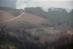 Un incendio, a 15 de xullo de 2022, en Quiroga, Lugo / Carlos Castro - Europa Press.