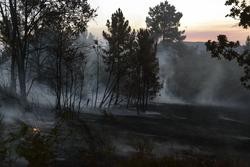 Montes e lume en Ábedes, a 3 de agosto de 2022, en Ábedes, Verín, Ourense, Galicia (España). Un incendio forestal que permanece activo desde as 14,52 horas deste mércores en Verín (Ourense) obrigou a activar a alerta por proximidade a vivendas d. Rosa Veiga - Europa Press