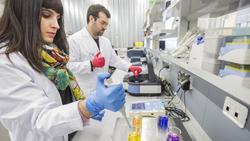 Ciencia concede á UVigo máis dun millón de euros para pór en marcha nove proxectos de Proba de Concepto / UVIGO
