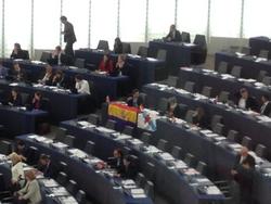 Bandeira galega e republicana no Parlamento Europeo / Youtube