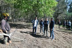 Tarefas de roza nun polígono agroforestal en Ourense / E.P. - Arquivo