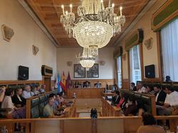 Pleno do Concello de Santiago presidido pola alcaldesa, Goretti Sanmartín / CONCELLO DE SANTIAGO