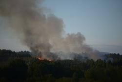 Incendio forestal na parroquia de Belesar, a 6 de agosto de 2023, en Vilalba, Lugo / Gustavo da Paz - Arquivo