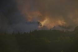 Fume provocado por un incendio forestal / Gustavo de la Paz - Arquivo