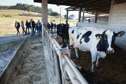 Rueda, durante a súa visita á explotación gandeira Graña Camba / XUNTA