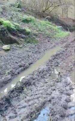 Verteduras e contaminación no río Avia da empresa Compost Galicia / Ecoloxistas en Acción