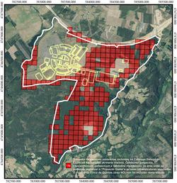 Presenza de especies protexidas no lugar onde se pretende construír o complexo de Altri -Greenfiber en Palas de Rei / ADEGA