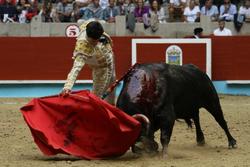 Corrida na praza de touros de Pontevedra / Mundo Toro