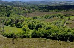 Lugar onde se quere facer un proxecto eólico en Terra de Montes, paralizado polo TSXG / Adega