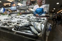 Arquivo - Sardiñas nas pescaderías da Praza de Lugo, a 22 de xuño de 2023, na Coruña, Galicia (España). O quilo de sardiña alcanzou na mañá de hoxe un prezo dun oito euros nas pescaderías da Praza de Lugo, na Coruña, o día a. M. Dylan - Europa Press - Arquivo / Europa Press