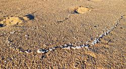 Pélets na praia do Espiñeirido, a 11 de xaneiro de 2024 / GC - Arquivo