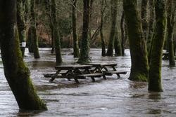 Inundacións provocadas polo desbordamento do río Tambre / César Argina