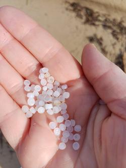 Pellets na praia de Area en Viveiro/Concello de Viveiro 23 xaneiro 2024