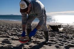 Voluntarios fan unha recollida de pellets da area / Elena Fernández - Arquivo / Europa Press