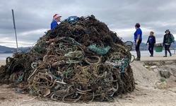 Vidros, algas e plásticos, elementos máis retirados do mar en Galicia / EP