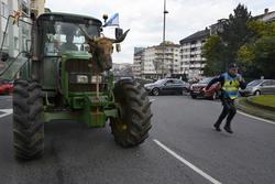Un tractor de agricultor chega a Ourense durante unha manifestación e tractorada / Rosa Veiga - Arquivo