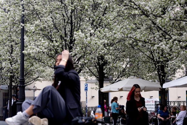 Varias persoas pasean xunto a árbores en flor durante o primeiro día de primavera, a 20 de marzo de 2024, en Madrid / Eduardo Parra - Arquivo