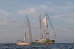 Os barcos de Greenpeace 