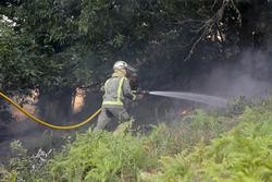Arquivo - Imaxe de arquivo dun bombeiro forestal en Galicia. Carlos Castro - Europa Press - Arquivo / Europa Press
