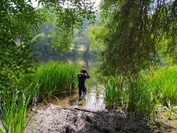 Un mergullador disponse a mergullarse nas augas do río Miño á altura do caneiro de Acea de Olga, en Lugo, o lugar onde este luns comezaron os traballos de traslocación de bivalvos protexidos. En Lugo, a 29 de xullo de 2024. / Europa Press