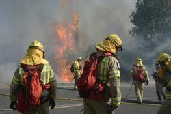 Incendio forestal en Oseira, en San Cristovo de Cea (Ourense). ROSA VEIGA / Europa Press