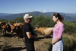 A conselleira de Medio Rural, María José Gómez, visita unha explotación de vacún de carne en Quiroga (Lugo). XUNTA DE GALICIA / Europa Press