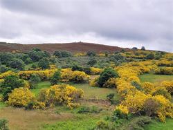 Serra da Queixa, onde a Xunta proxectou varios parques eólicos que foron paralizados polo TSXG / ADEGA