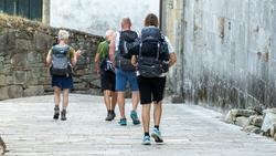 Peregrinos realizando o Camiño de Santiago / CONCELLO DE TUI - Arquivo