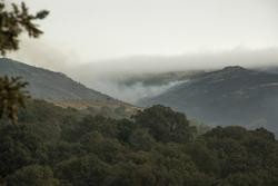 INCENDIO PARQUE NATURAL BAIXA LIMIA-SERRA DO XURÉS. PORTUGAL-ENTRIMO / ROSA VEIGA - Arquivo