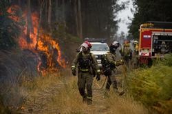 Axentes do equipo de Bombeiros de Galicia traballan durante o incendio de Crecente / Adrián Irago - Arquivo