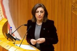 A conselleira de Medio Ambiente e Cambio Climático, Anxos Vázquez, no Parlamento de Galicia.. XUNTA
