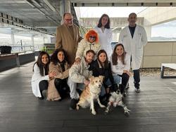 Ourense dá un paso pioneiro na humanización hospitalaria coa visita de animais de compañía aos pacientes / Europa Press