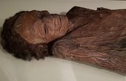 Momia guanche / Wikipedia - Arquivo