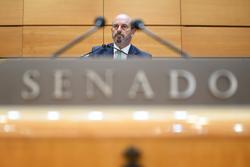 O presidente do Senado, Pedro Rollán, durante unha sesión plenaria, no Senado, a 17 de xullo de 2024, en Madrid / Fernando Sánchez - Arquivo